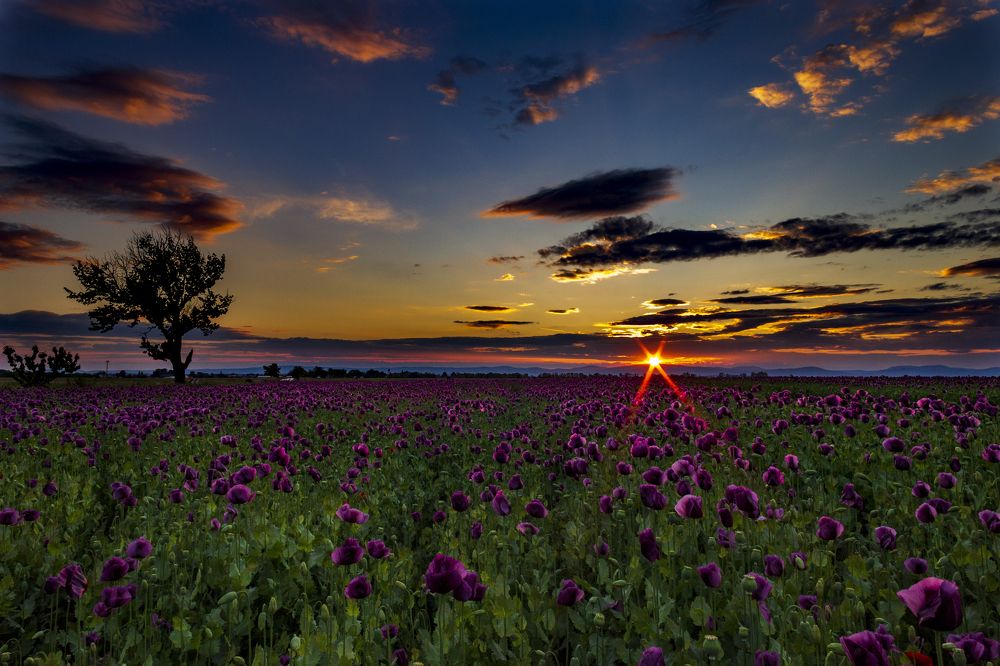 Фотография автора Andrej Levius