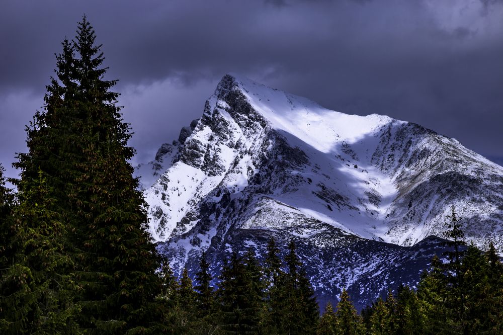 Фотография автора Andrej Levius