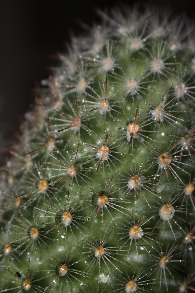 Photograph by yvan teule