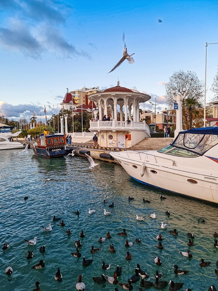 Осень в Сочинской гавани