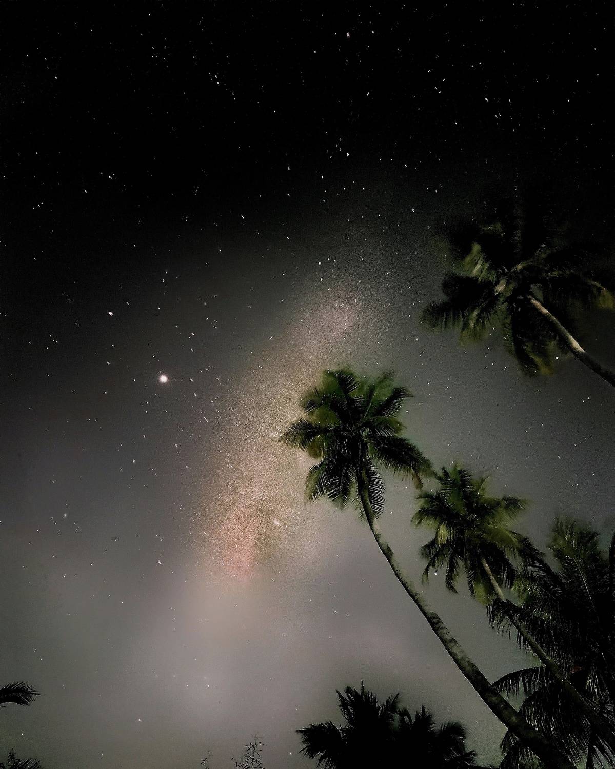 Photo #7410434