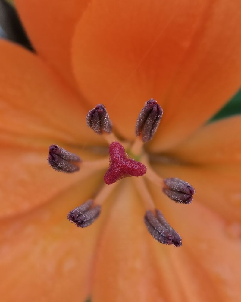 Photograph by Anil Yadav