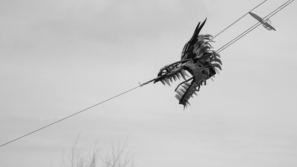 Фотография автора Edi Sutriyono