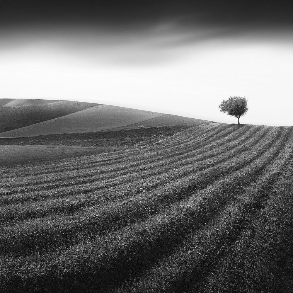 Photograph by Mohammad Dadsetan