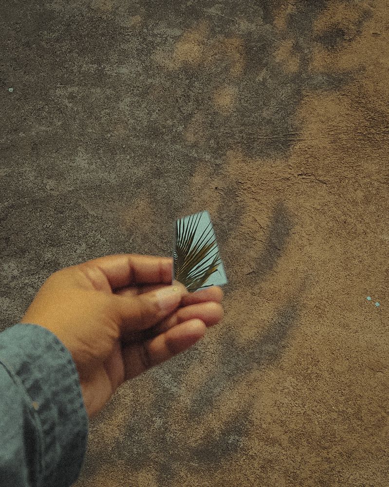 Photograph by Amisha Raj
