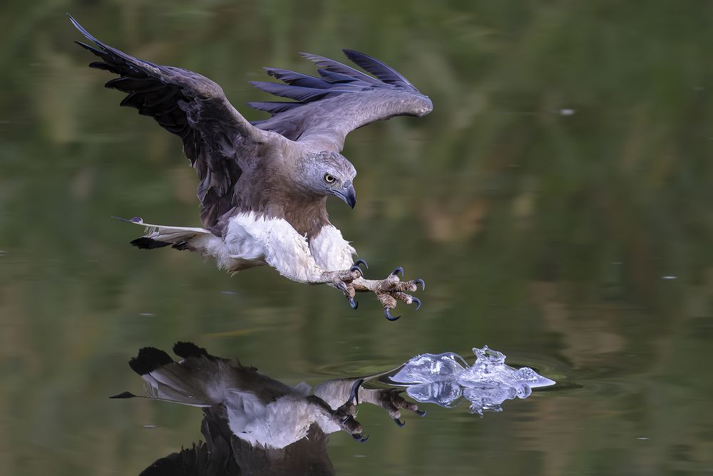 Photograph by PARTHA ROY