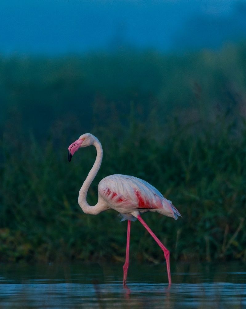 Photograph by Prajwal Gaikwad