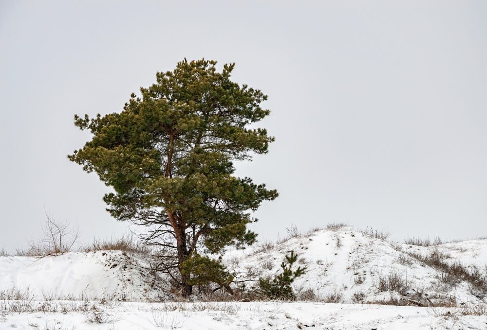 Photograph by Владимир Рябов