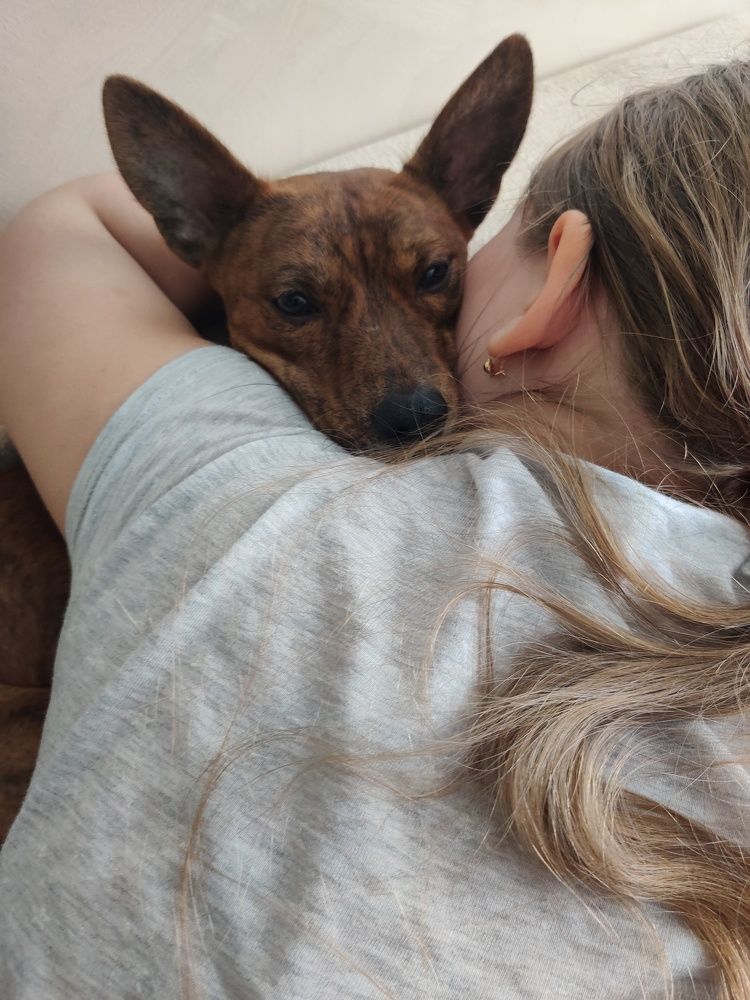 Photo #7410712