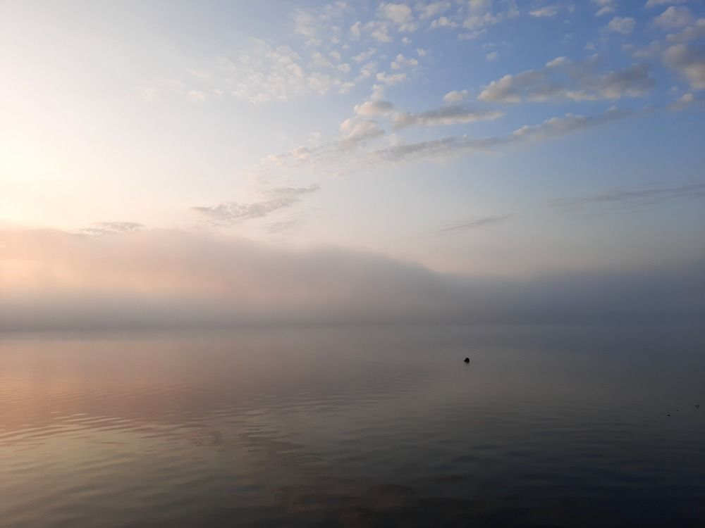 Photograph by Александра Кузюрина