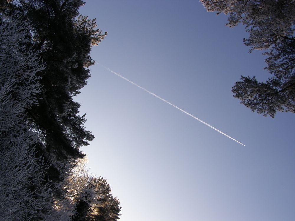Photo #7410741