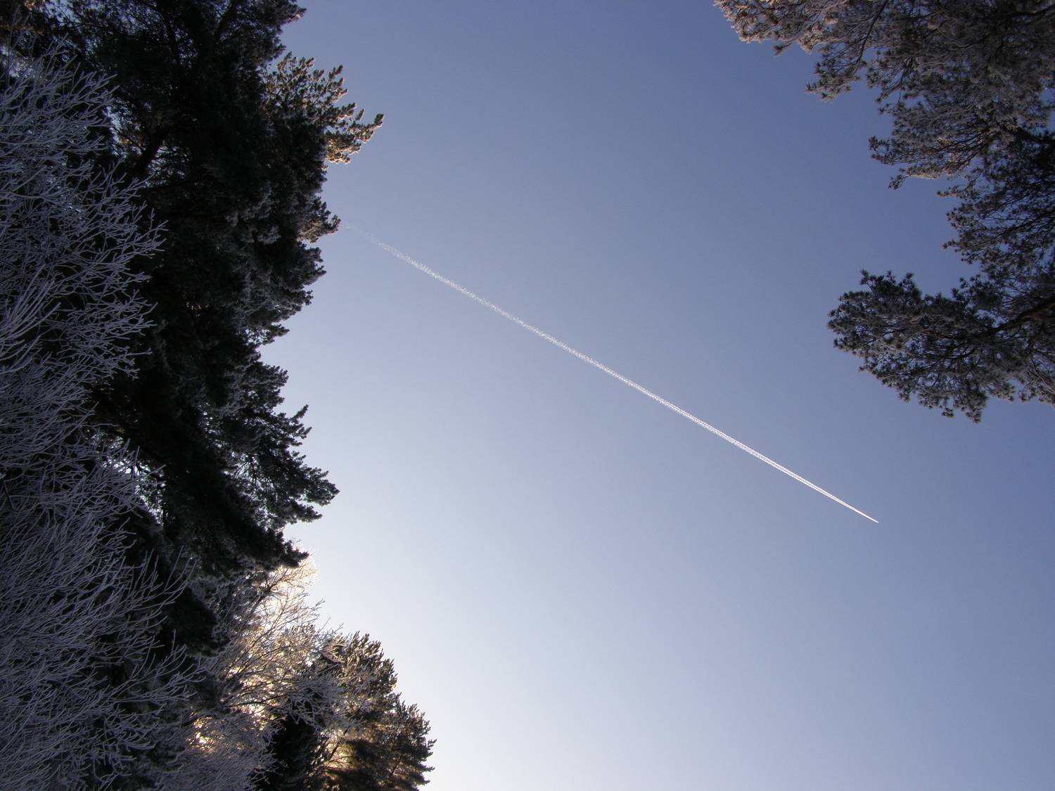 Photo #7410741
