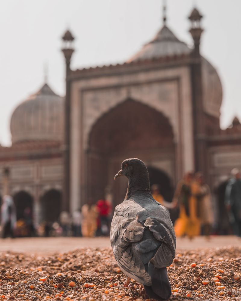 Photograph by Chetan Parmar