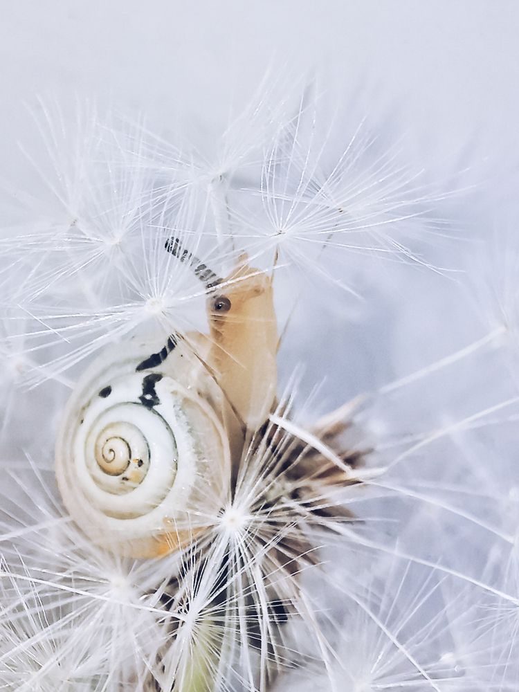 Photograph by Оксана Маракушина