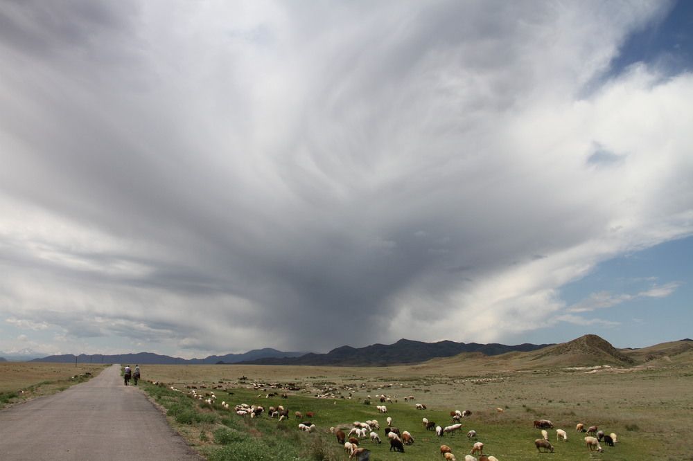 Photograph by Ирина Курьянова