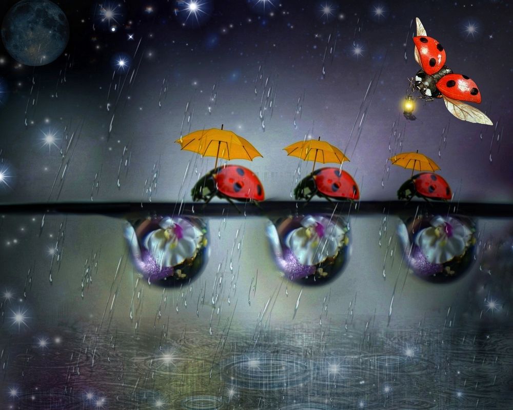 Photograph by Оксана Маракушина