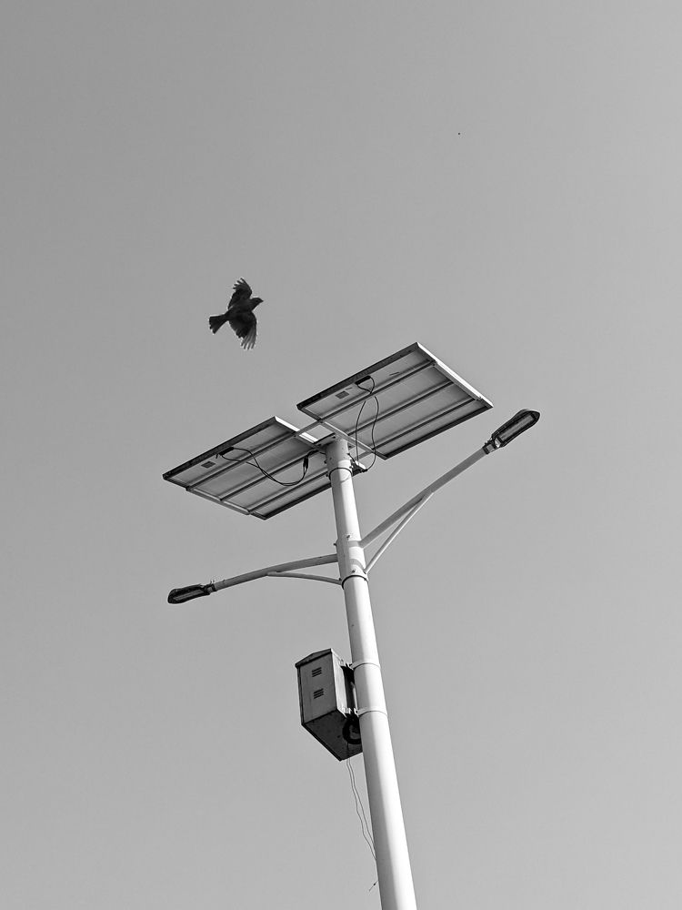 Photograph by Shahariar Tahamed