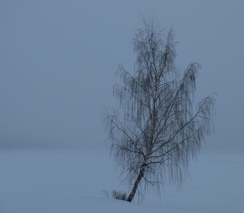 Photograph by Ираида Стародубцева