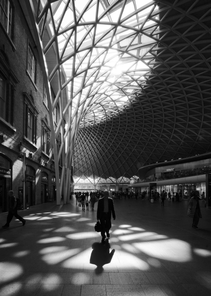 Photograph by Selaru Ovidiu