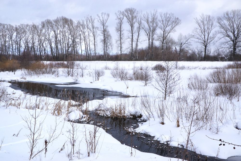 Photograph by Олег Машковский