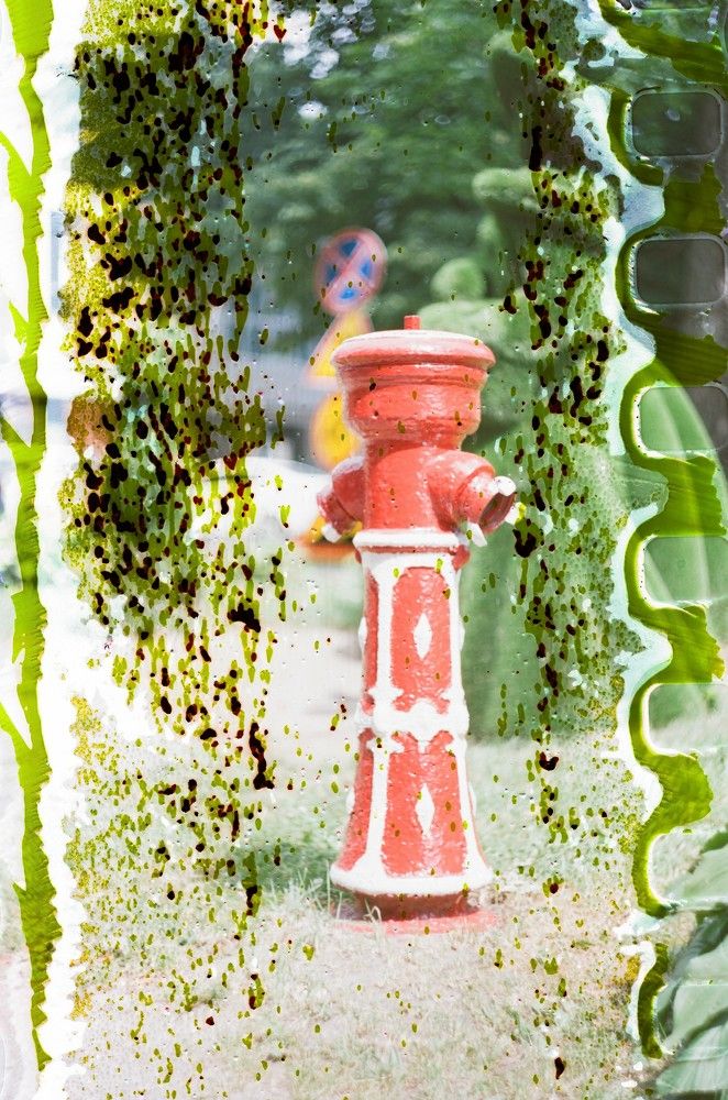 Photograph by Ольга Шевцова