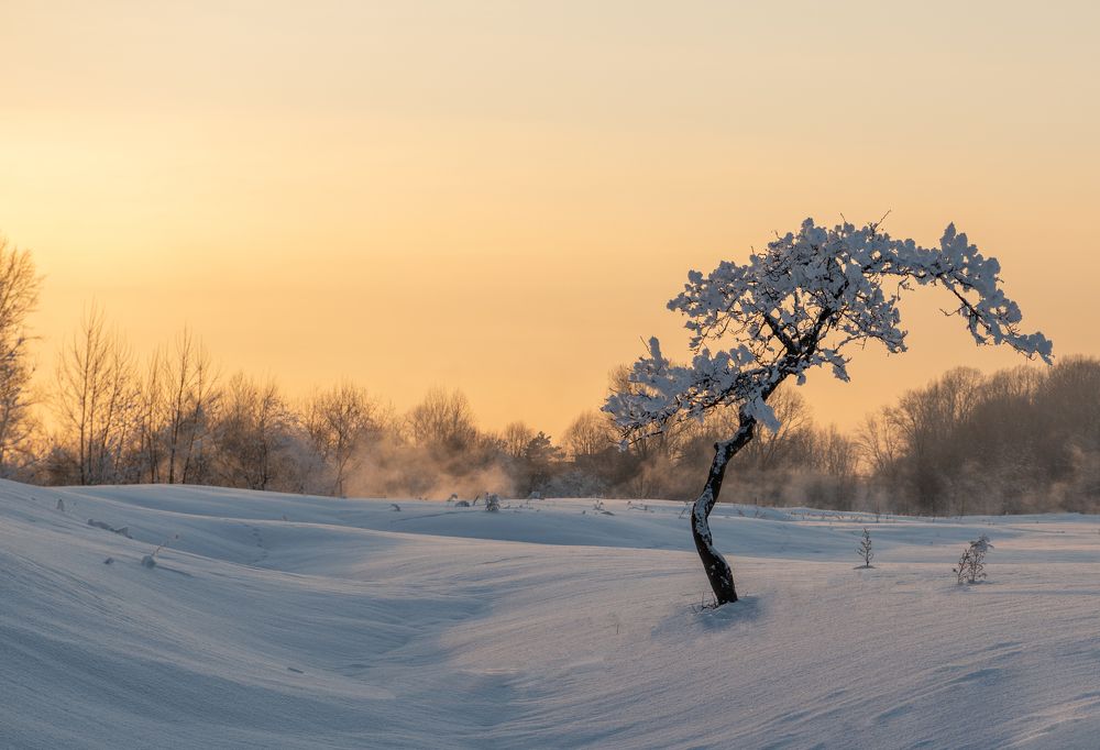 Photograph by Сергей Шерстнев