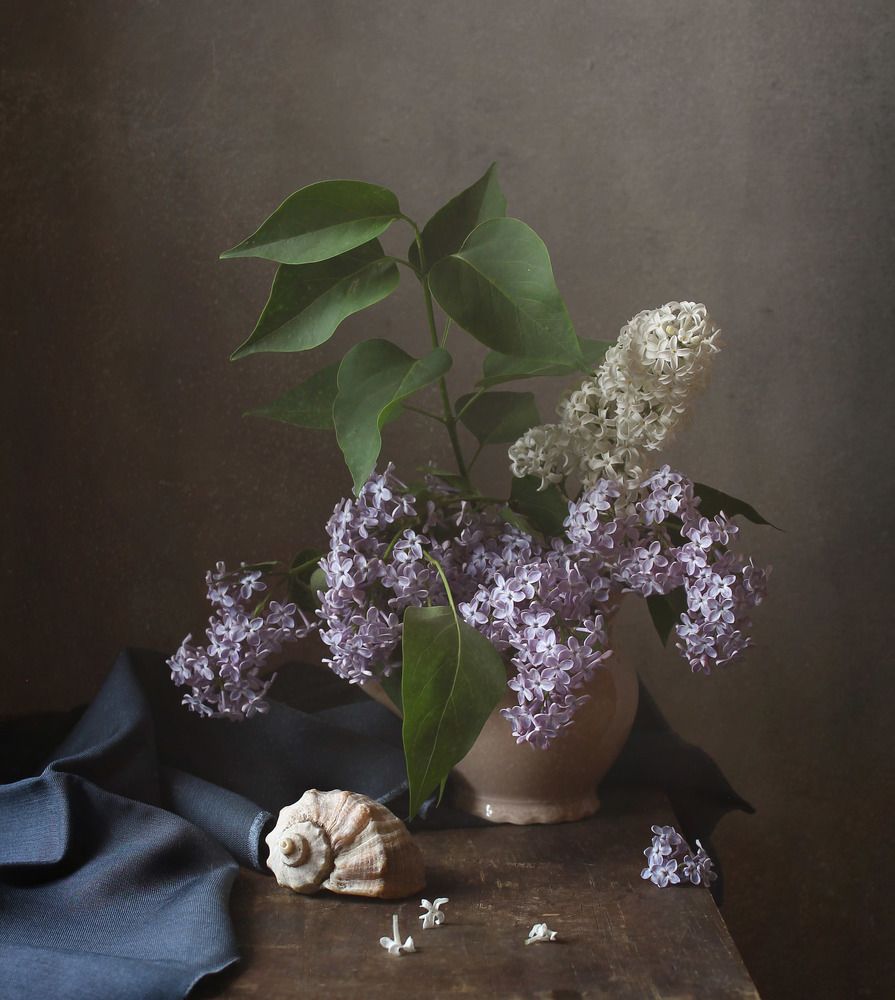 Photograph by Курочкина Диана