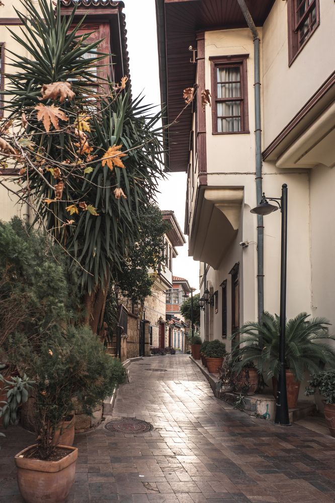 Photograph by Alp Aysgl