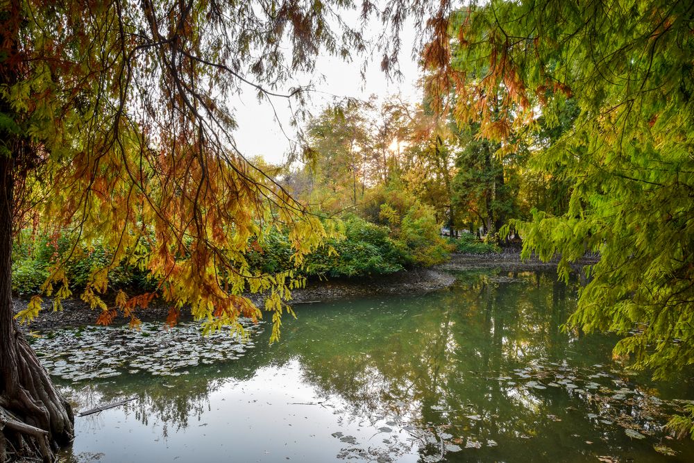 Photograph by Abdulrahman Sawalha