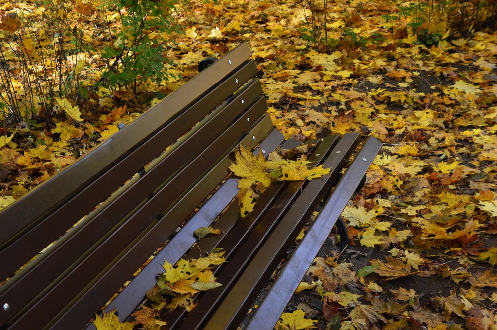 Photograph by Alvydas Ldk