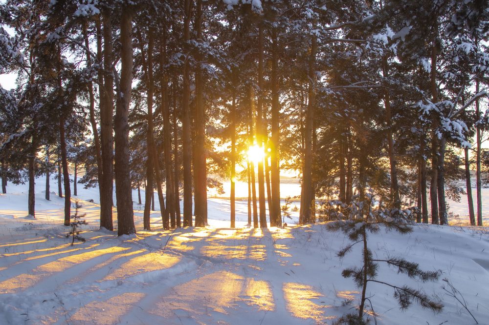 Photograph by Валерий Шорохов