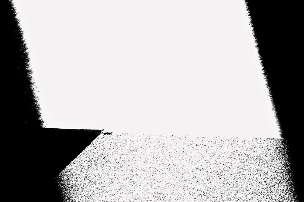 Photograph by Monika Sandr