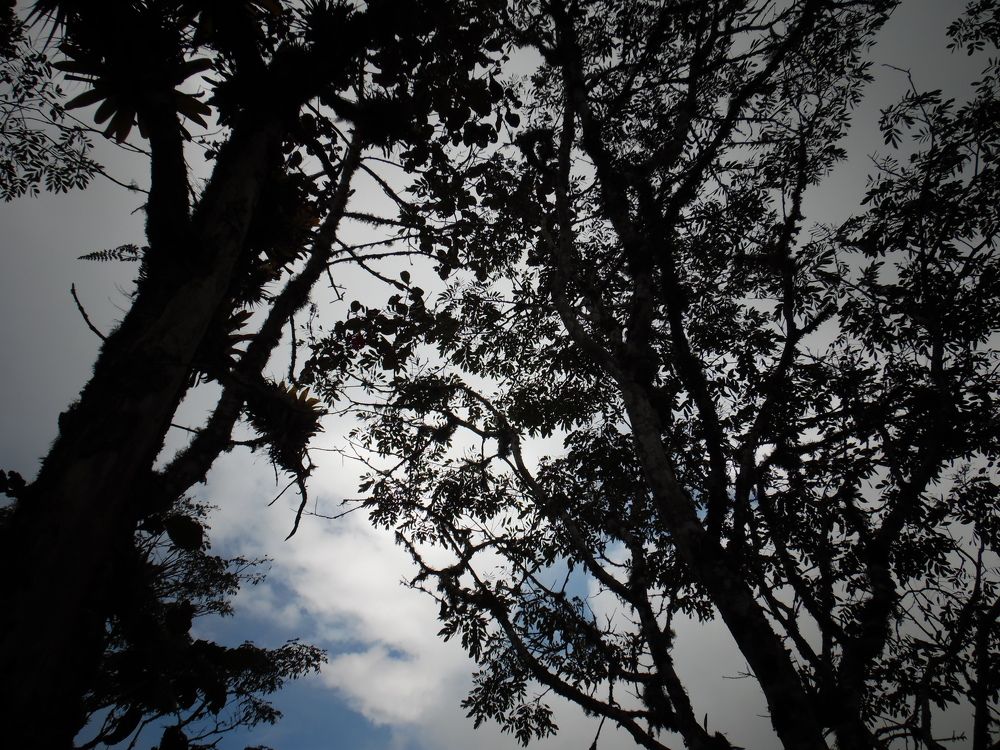 Photograph by Mario Alfonso Gudiño