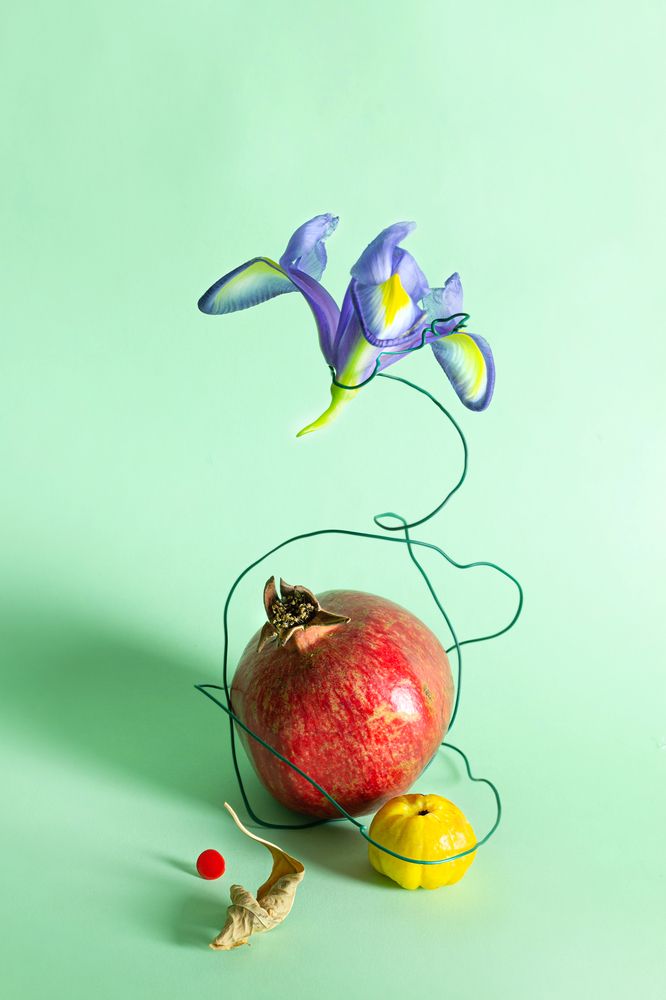 Photograph by Aušra Peciuriene