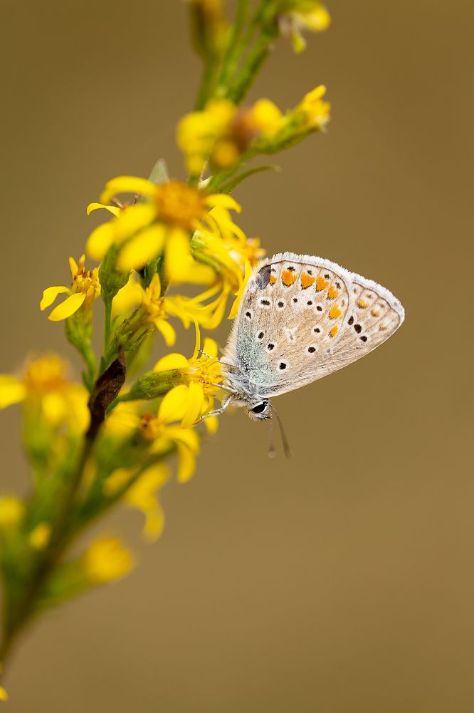 Photograph by Анастасия Петрова