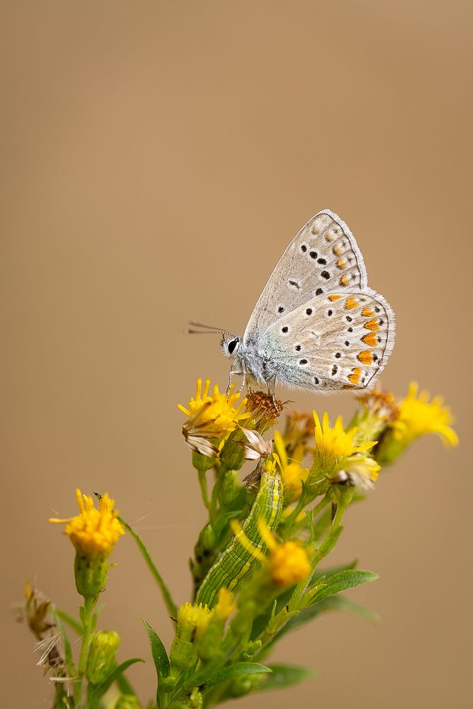 Photograph by Анастасия Петрова