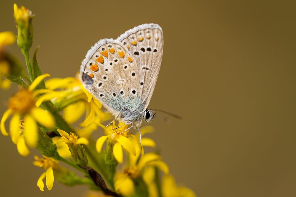 Photograph by Анастасия Петрова