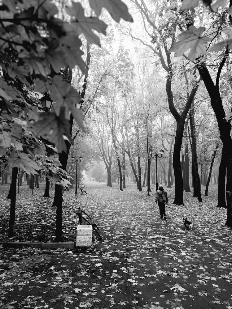 Photograph by Дмитрий Шумский