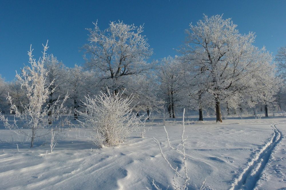 Photograph by Александр Кизим