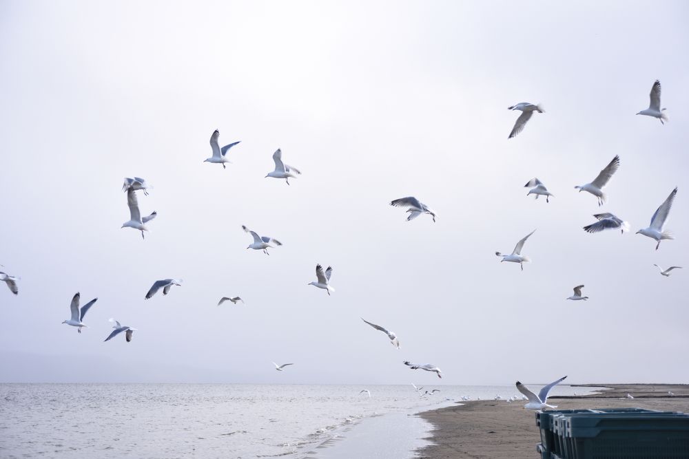 Photograph by Марина Калинина