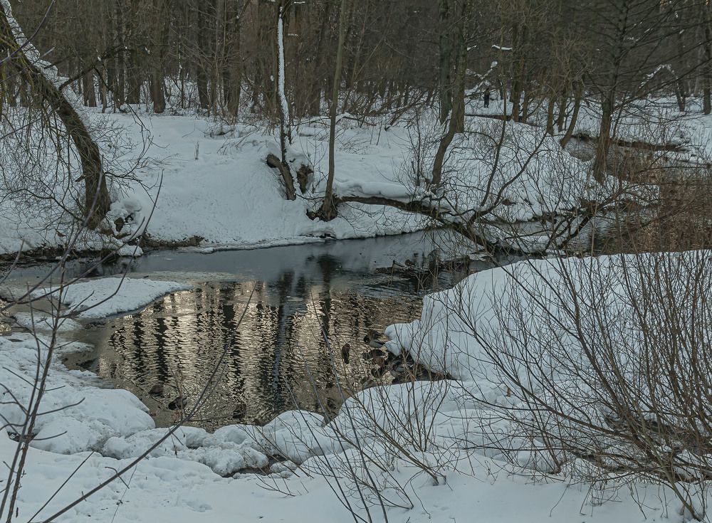 Photograph by Vladimir  Komarov