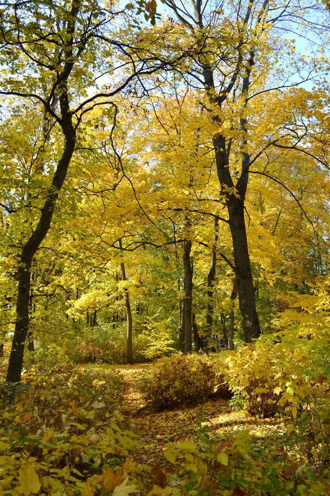 Photograph by Александр Морозов