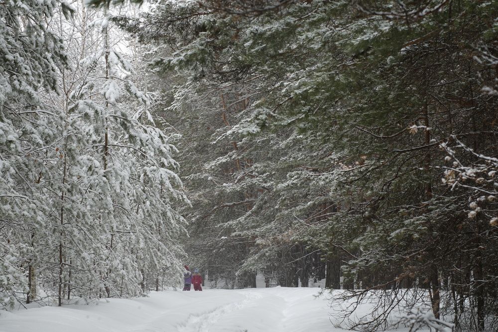 Photograph by Алина Брагина