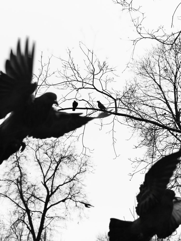 Photograph by Ирина Новицкая