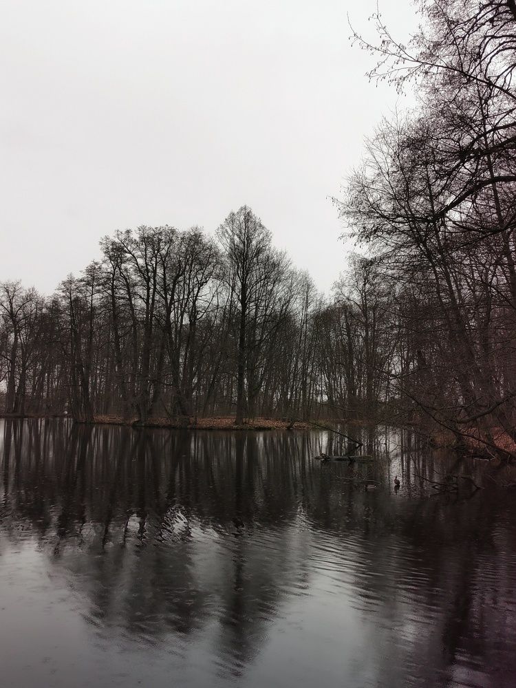 Photograph by Ирина Новицкая