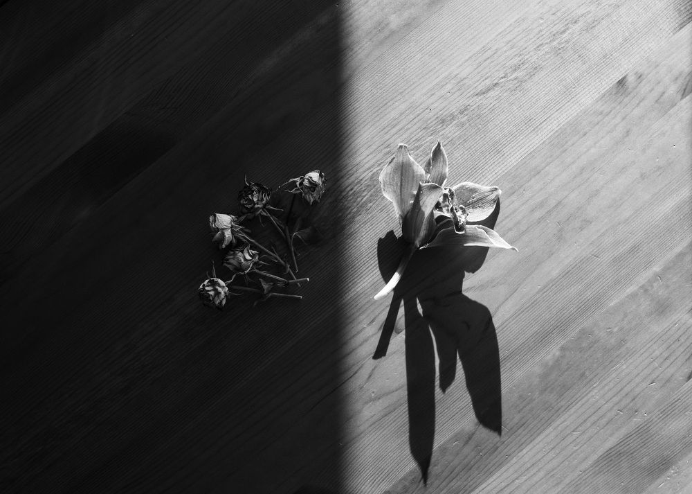 Photograph by Екатерина Нефедова