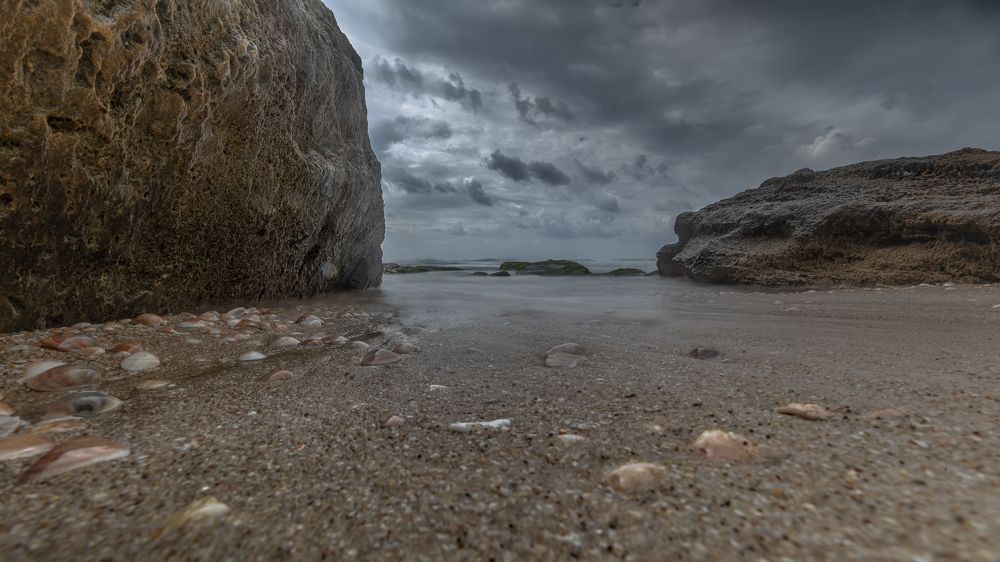 Photograph by Hillel Shatz