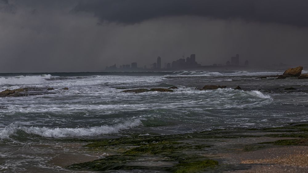 Photograph by Hillel Shatz