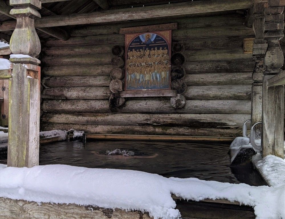 Photo #7411819