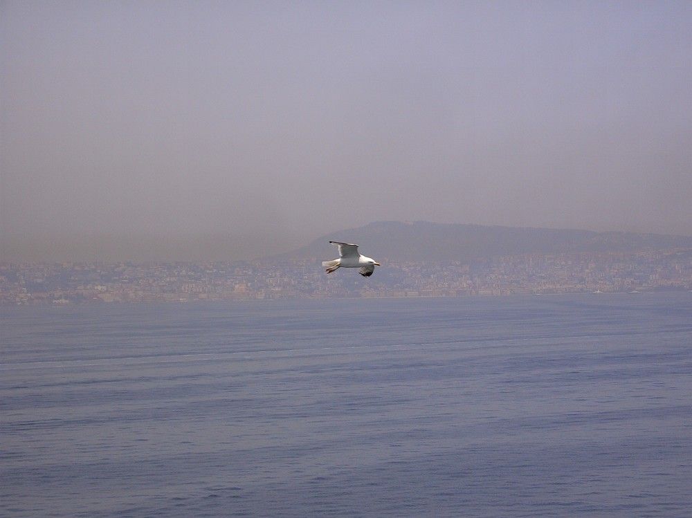 Одинокий полет!